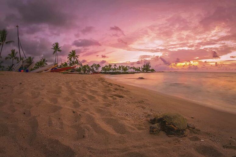 Eventyrlige ting å gjøre på Big Island of Hawaii